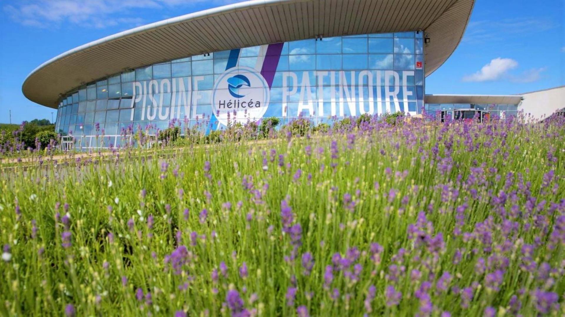 Cocon lumineux proche de la ville fortifiée et de Nausicaa Boulogne-sur-Mer Esterno foto