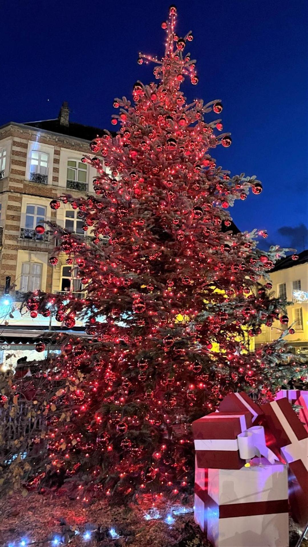 Cocon lumineux proche de la ville fortifiée et de Nausicaa Boulogne-sur-Mer Esterno foto